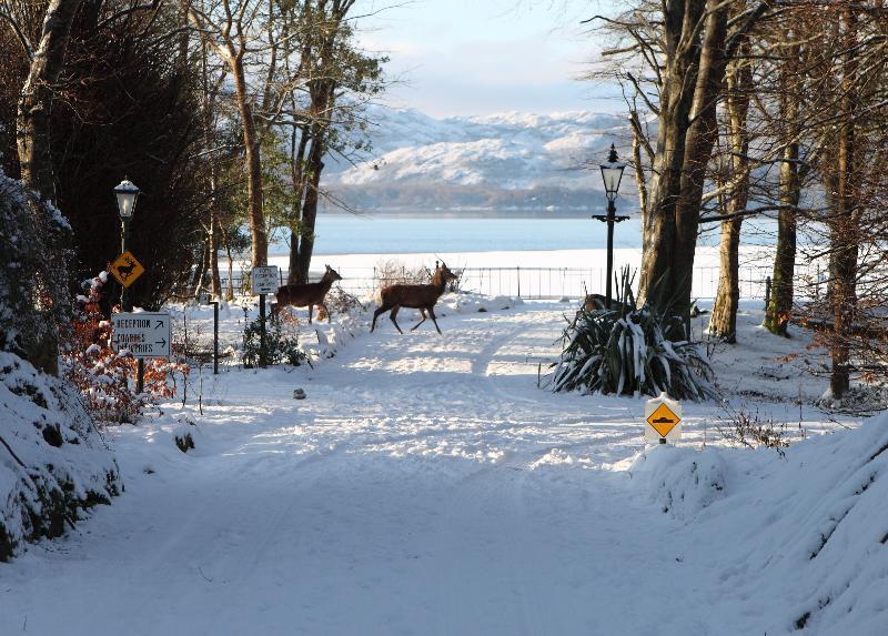 Lake Lodge Guesthouse 4* Killarney