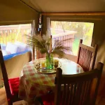 Luxury Tree Top Glamping Safari Tent
