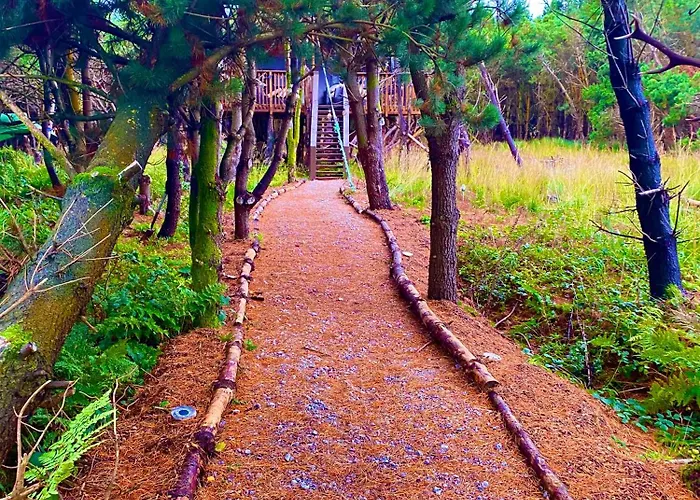 Luxury Tree Top Glamping Safari Tent
