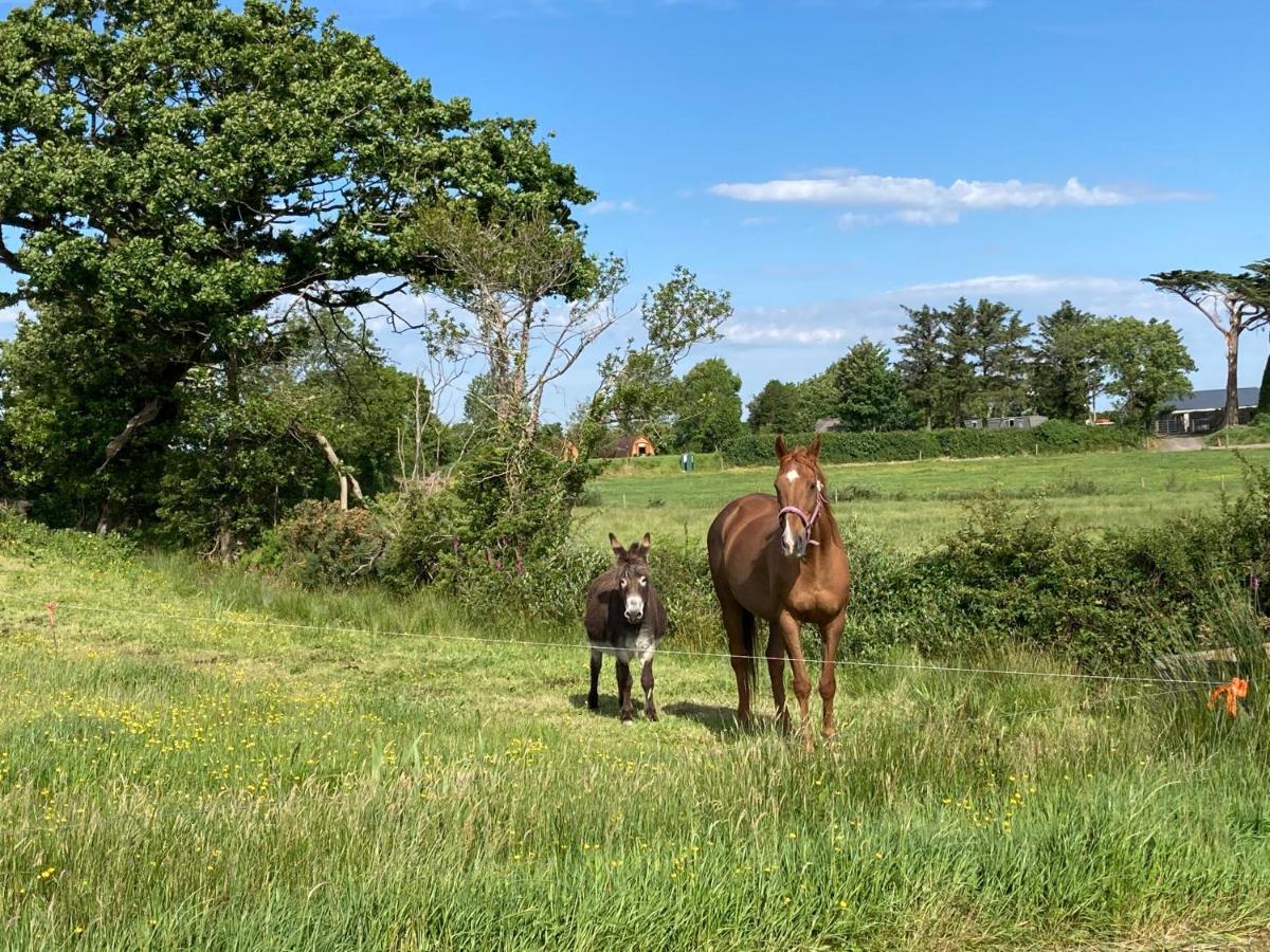 Luxury tent Farmyard Lane Glamping Killarney