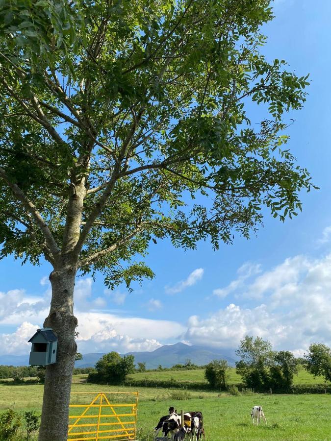Farmyard Lane Glamping Killarney