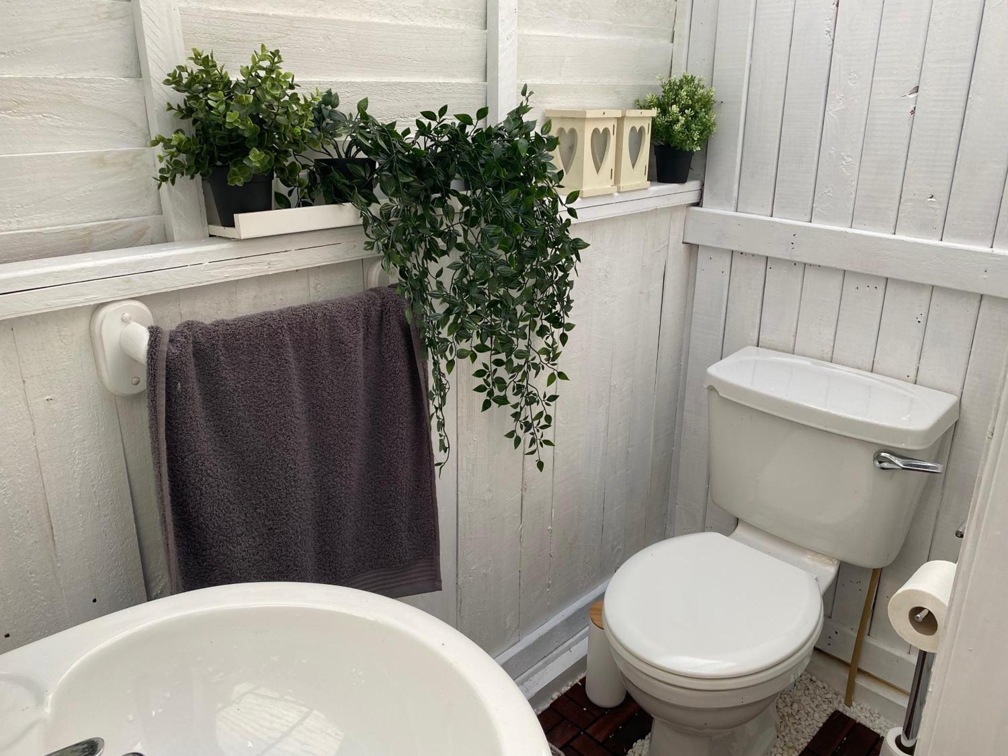 Luxury Tree Glamping Safari Tent Luxury tent Killarney