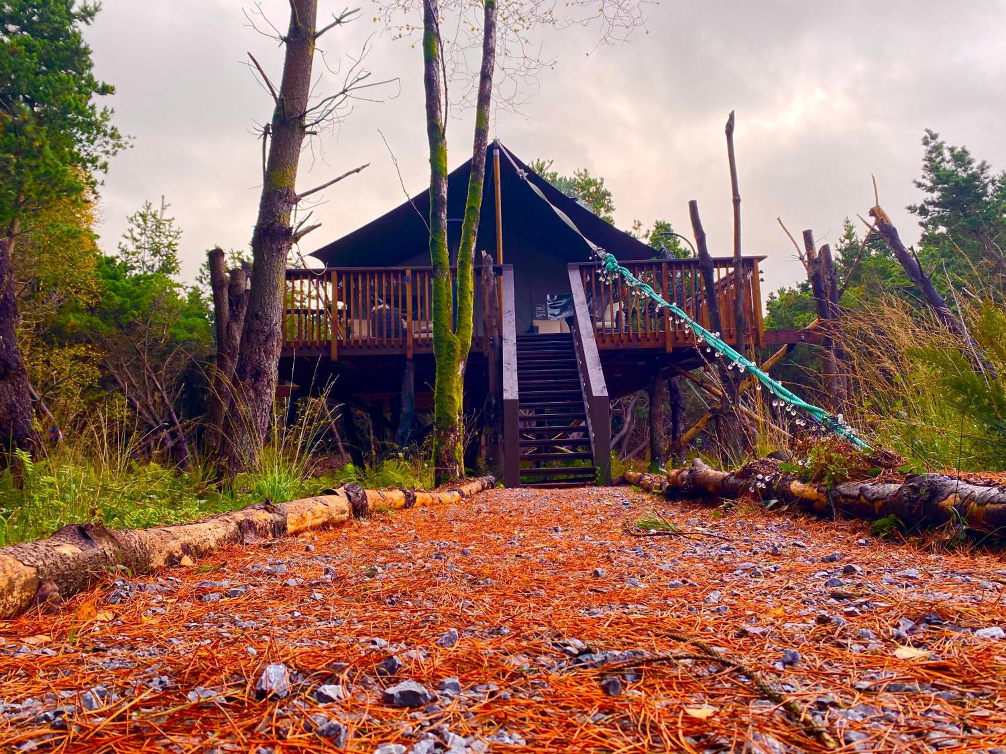 Luxury Tree Glamping Safari Tent Killarney