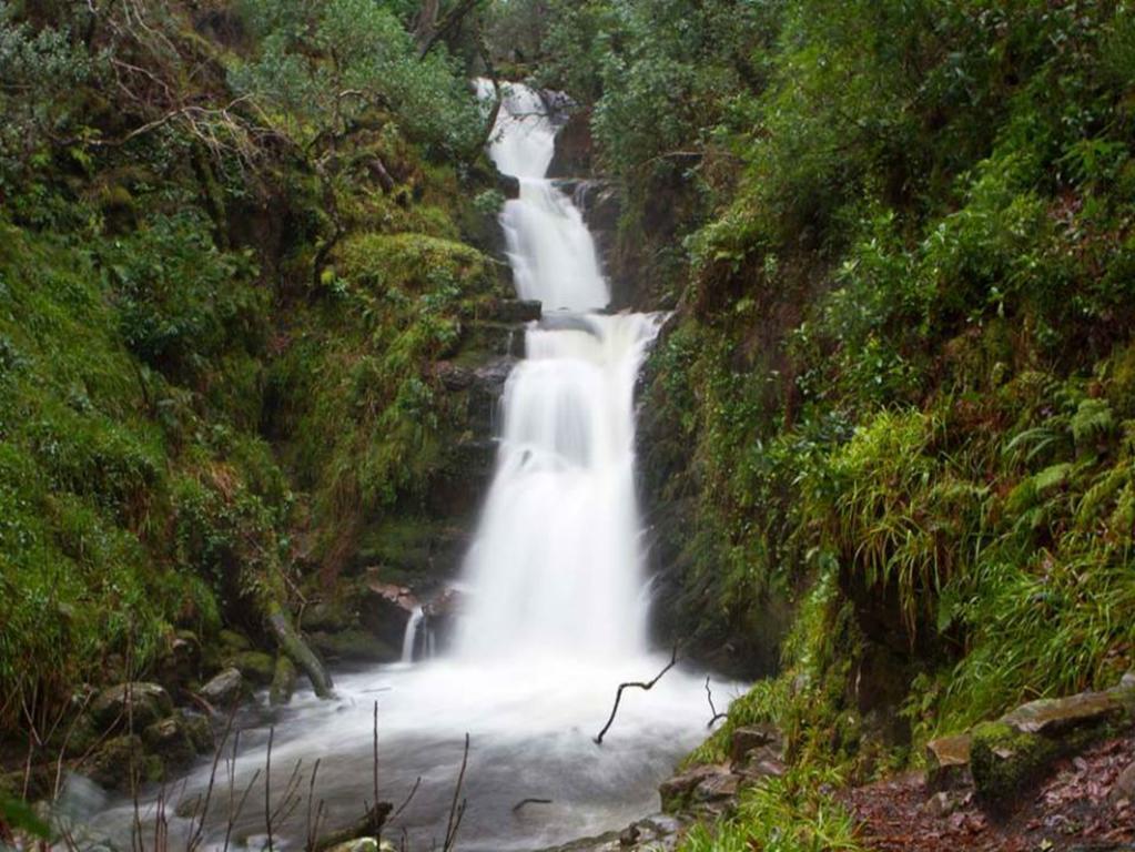 Dromhall Killarney