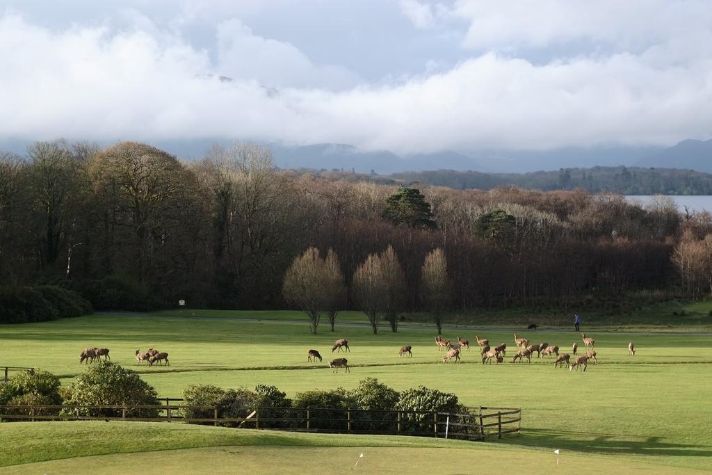 Castlerosse Park Holiday home *
